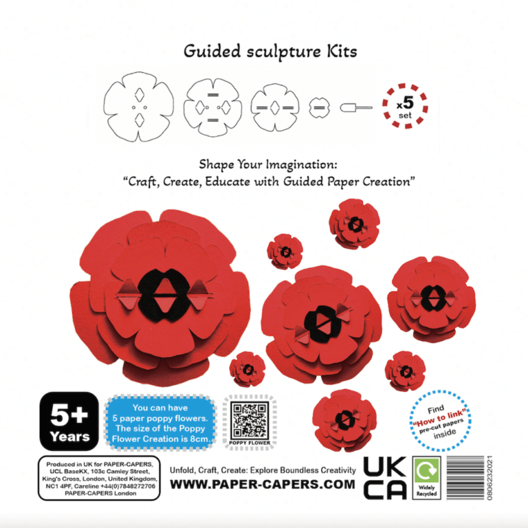 Guided Sculpture Creation Kits - Poppy - Image 7