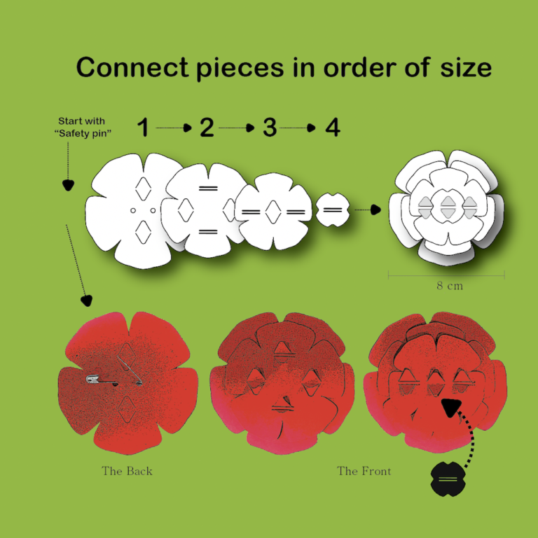 Guided Sculpture Creation Kits - Poppy - Image 3