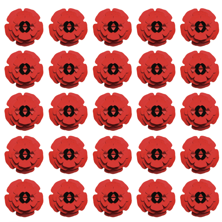 Guided Sculpture Creation Kits - Poppy - Image 6