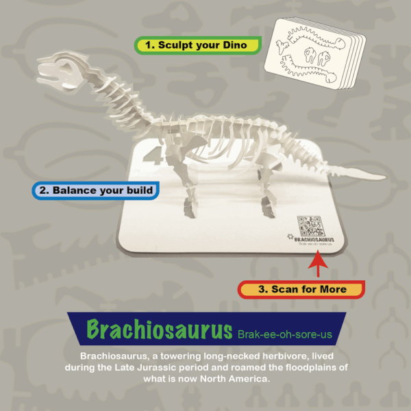 DINOCRAFT 04 - Brachiosaurus - Image 6