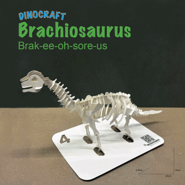 DINOCRAFT 04 - Brachiosaurus - Image 7