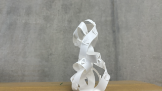 Creative Sculpting